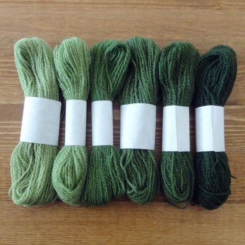 Crewel Wool Color Range, “Jacobean Green”