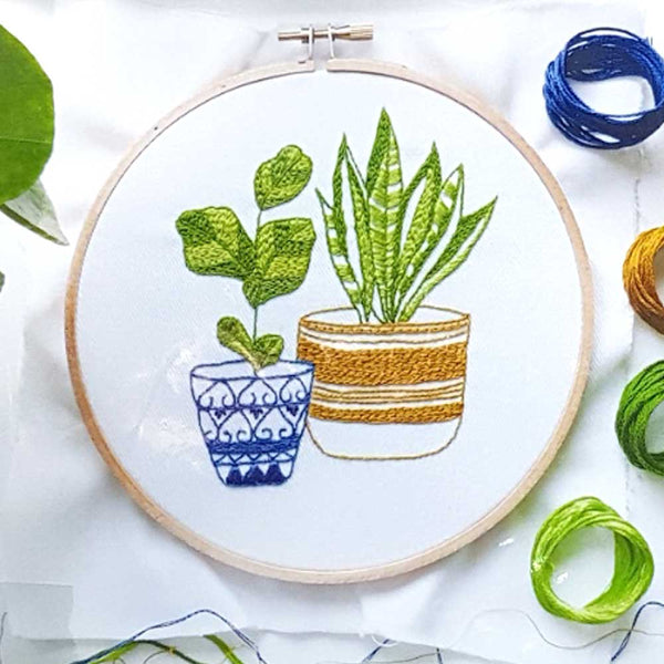 Blue and Green Houseplants