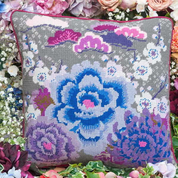 Japanese Crysanthemum Blue