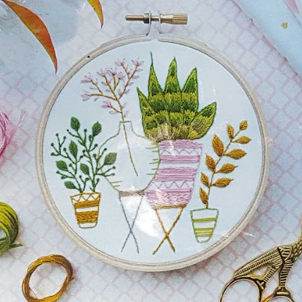 Pink and Green Houseplants